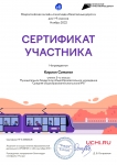 Certificate_Kirill_Simagin__page-0001